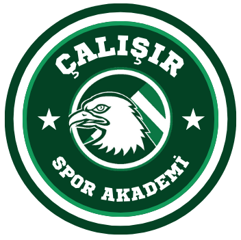 Çalışır Spor Akademi Logo